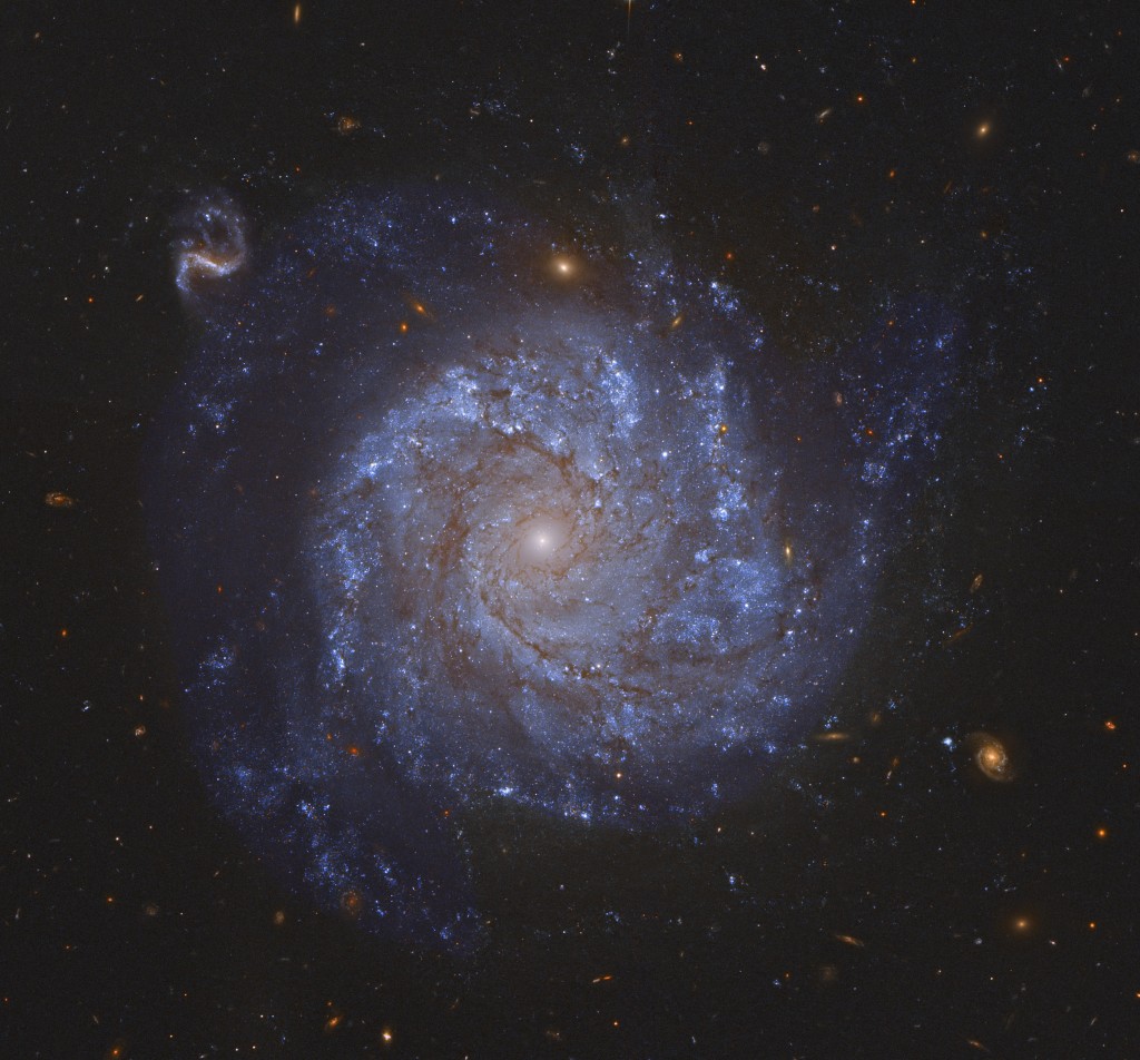 NGC 1309: Spiral Galaxy and Friends
