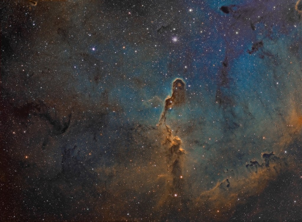 The Elephant’s Trunk in IC 1396