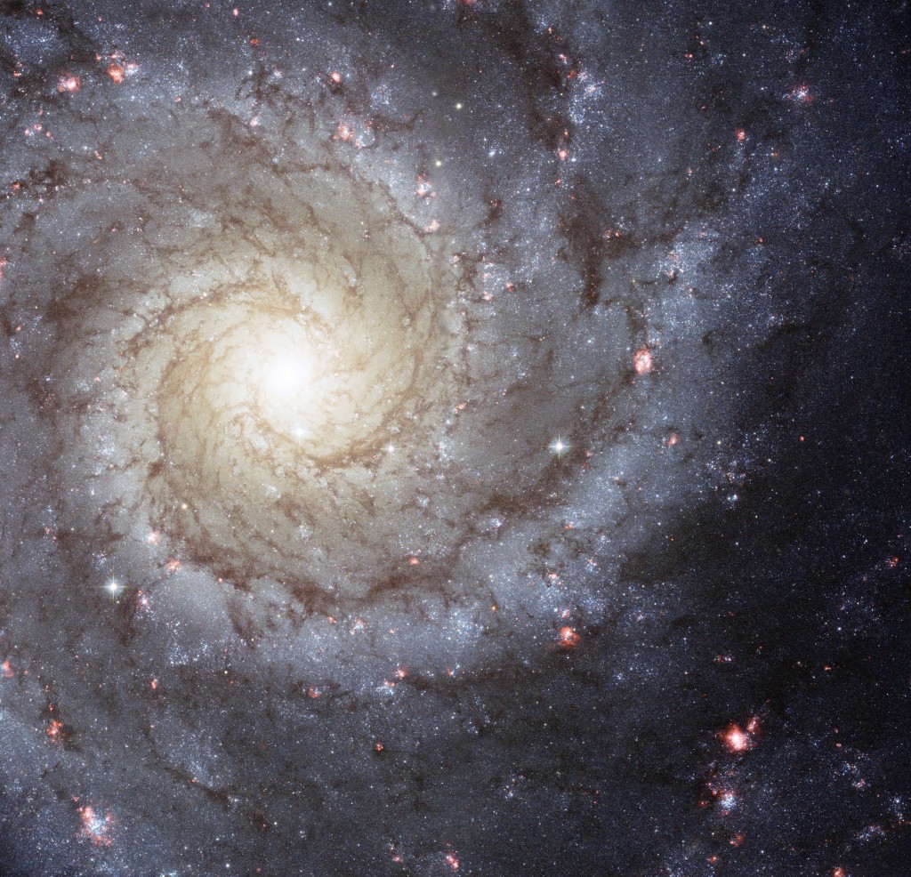 M74: The Perfect Spiral