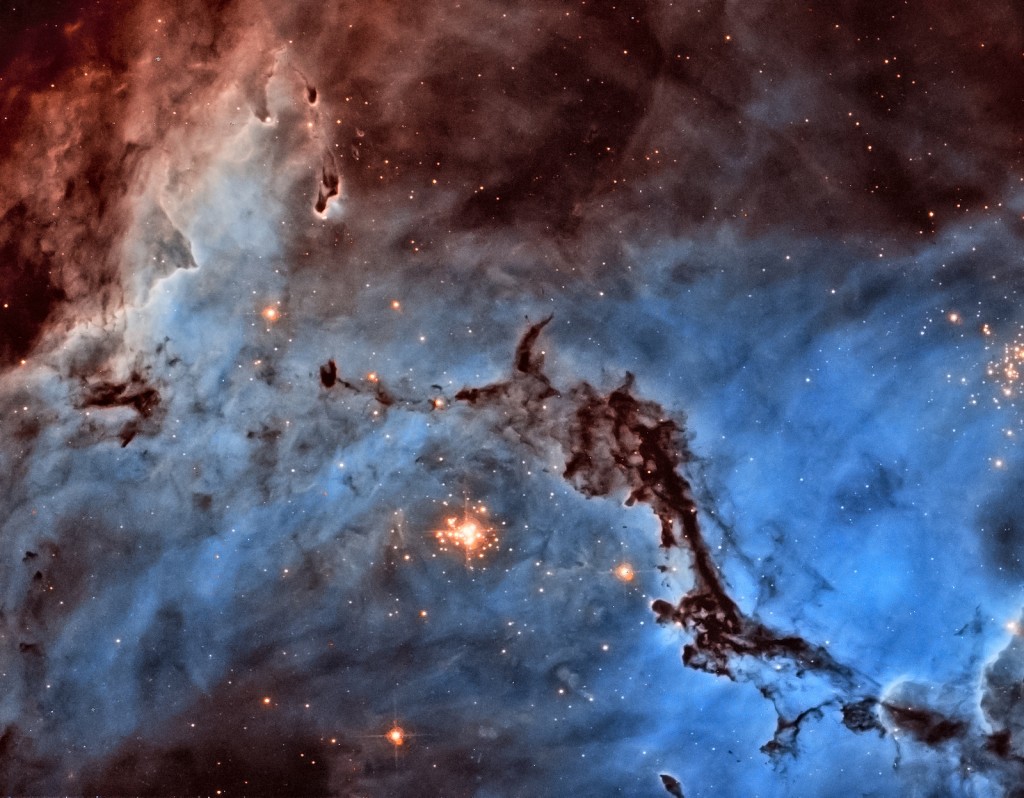 N11: Star Clouds of the LMC